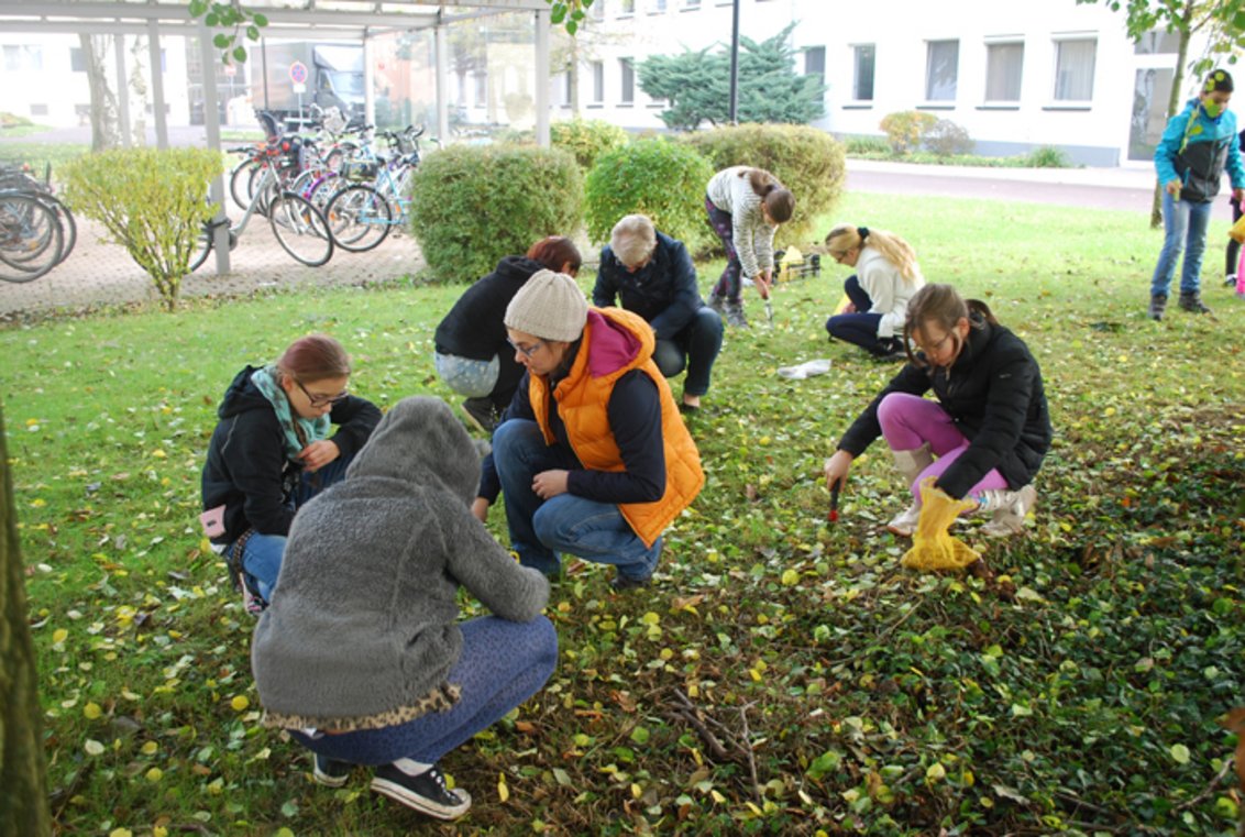 Große Pflanzaktion