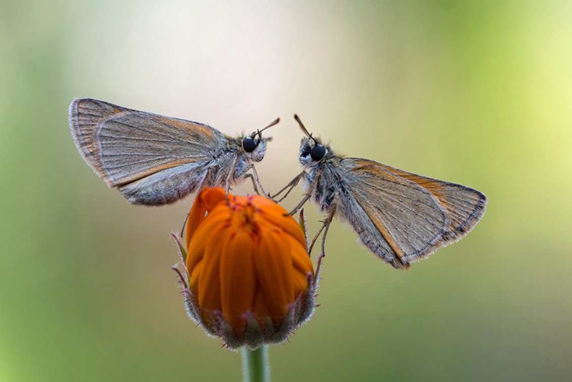 Foto-Ausstellung „Unterwegs in der Natur“