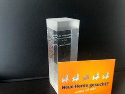 AMEOS gewinnt ZEIT Karriere Award