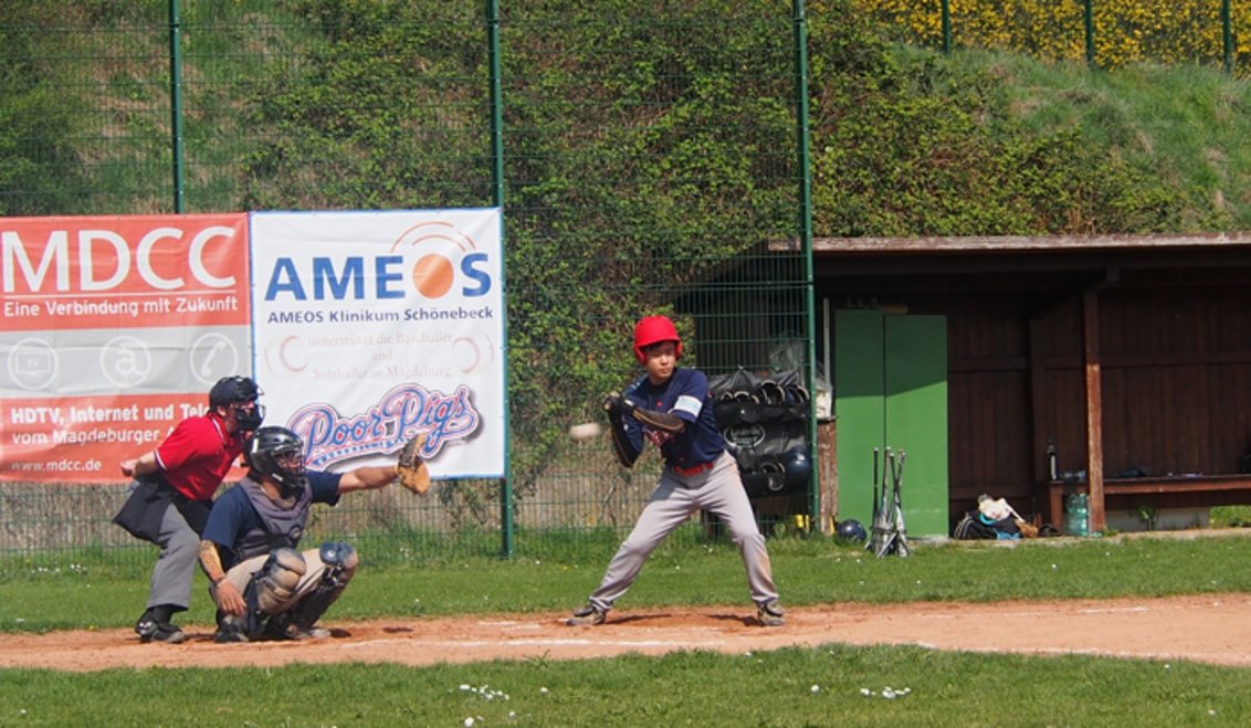 Saisonauftakt der Baseballer