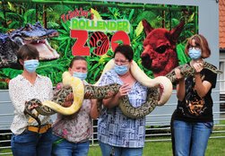 Ein Krokodil auf Gut Neuhof