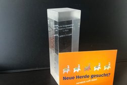 AMEOS Gruppe gewinnt ZEIT Karriere Award