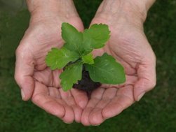 Resilienz – welche Rolle spielt psychische Widerstandskraft bei einer Tumorerkrankung?