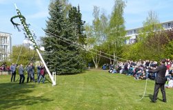 Der SWR stellt Maibaum auf und lädt ein zum Tag der offenen Tür