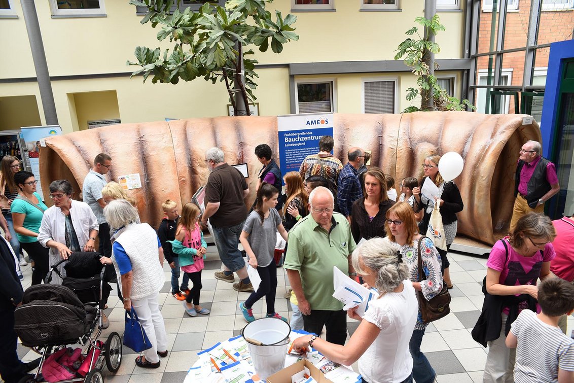 Volles Haus über Alfelds Dächern